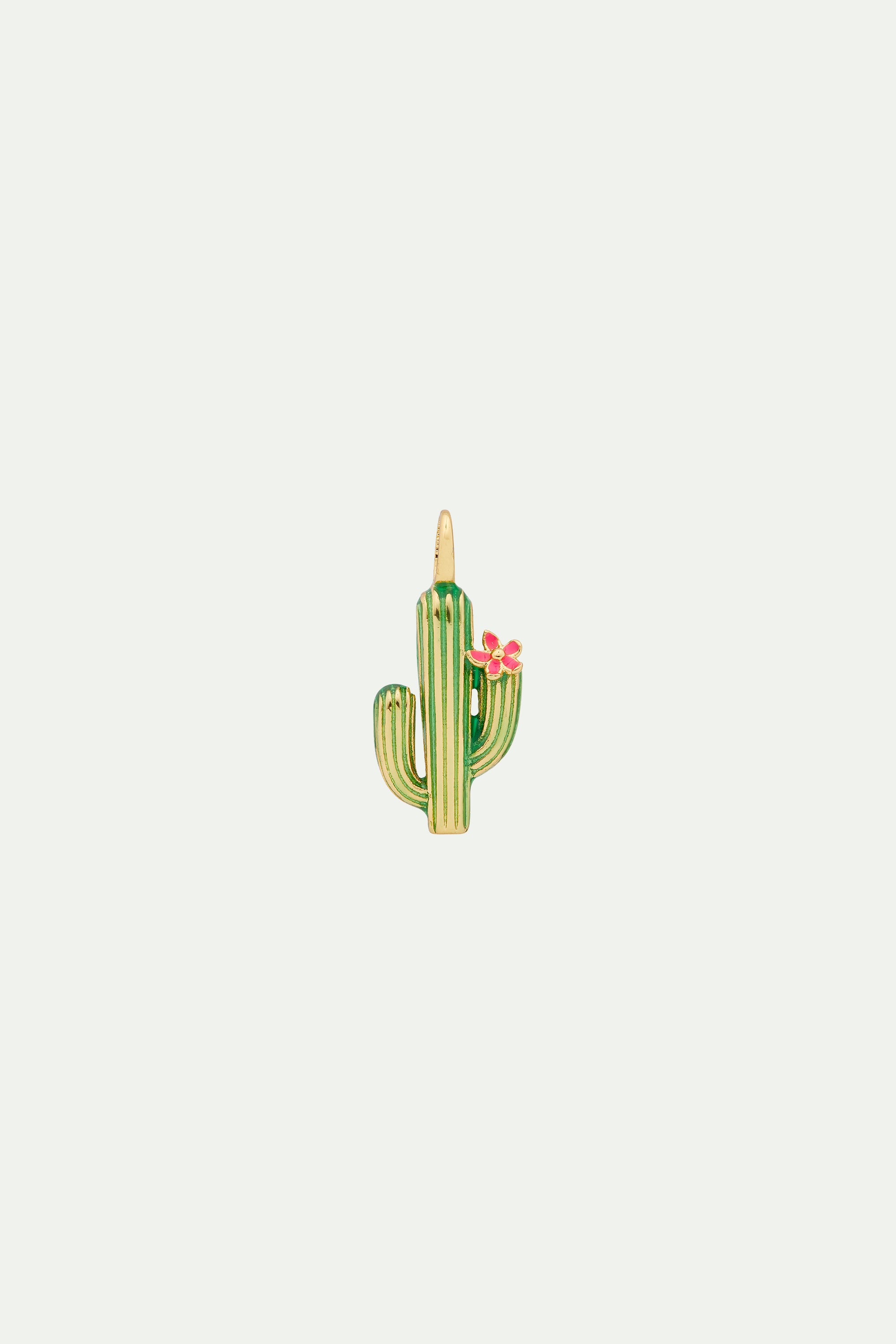 Charm's cactus