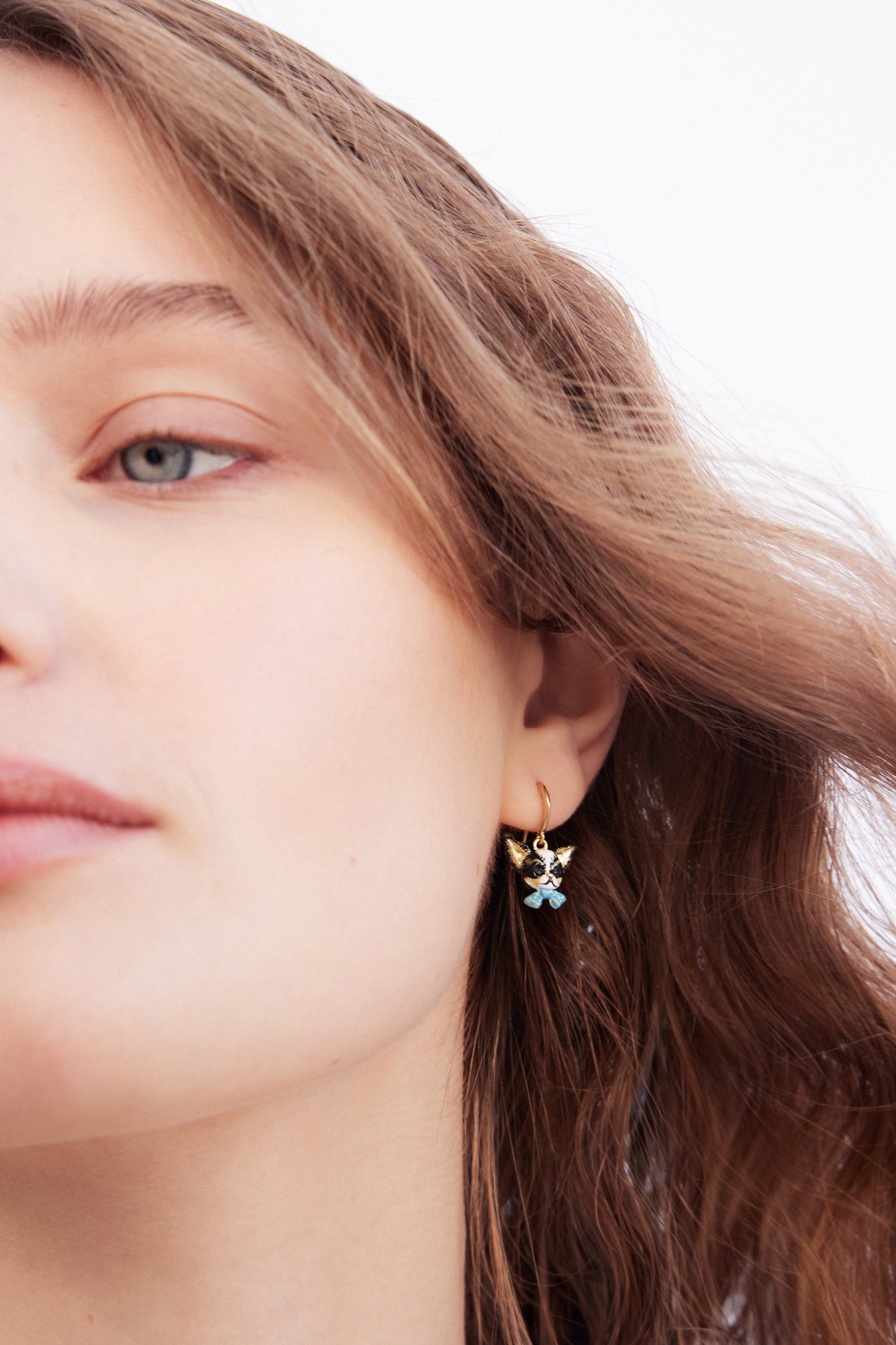 Boucles d'oreilles hook Chihuahua et noeud papillon bleu