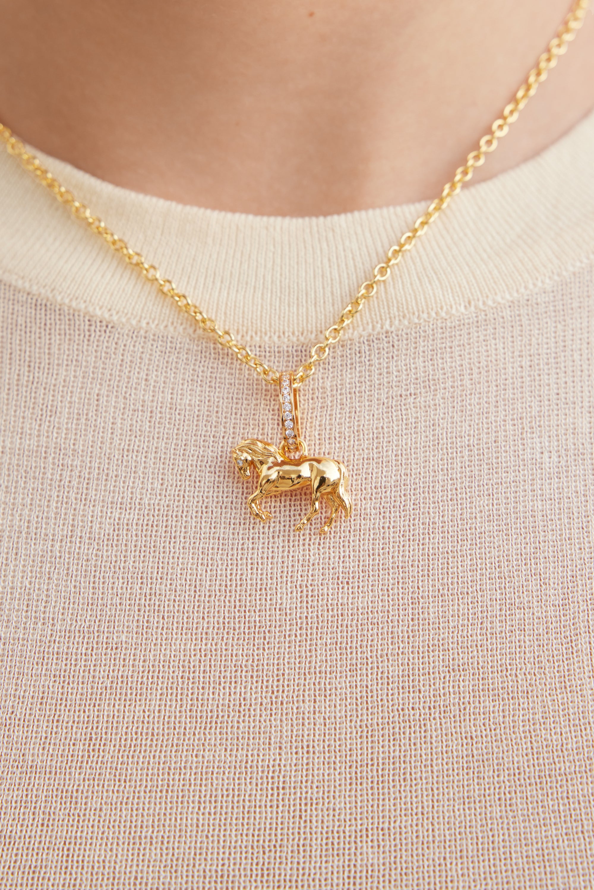 Pendentif Cheval doré, Passion et Curiosité