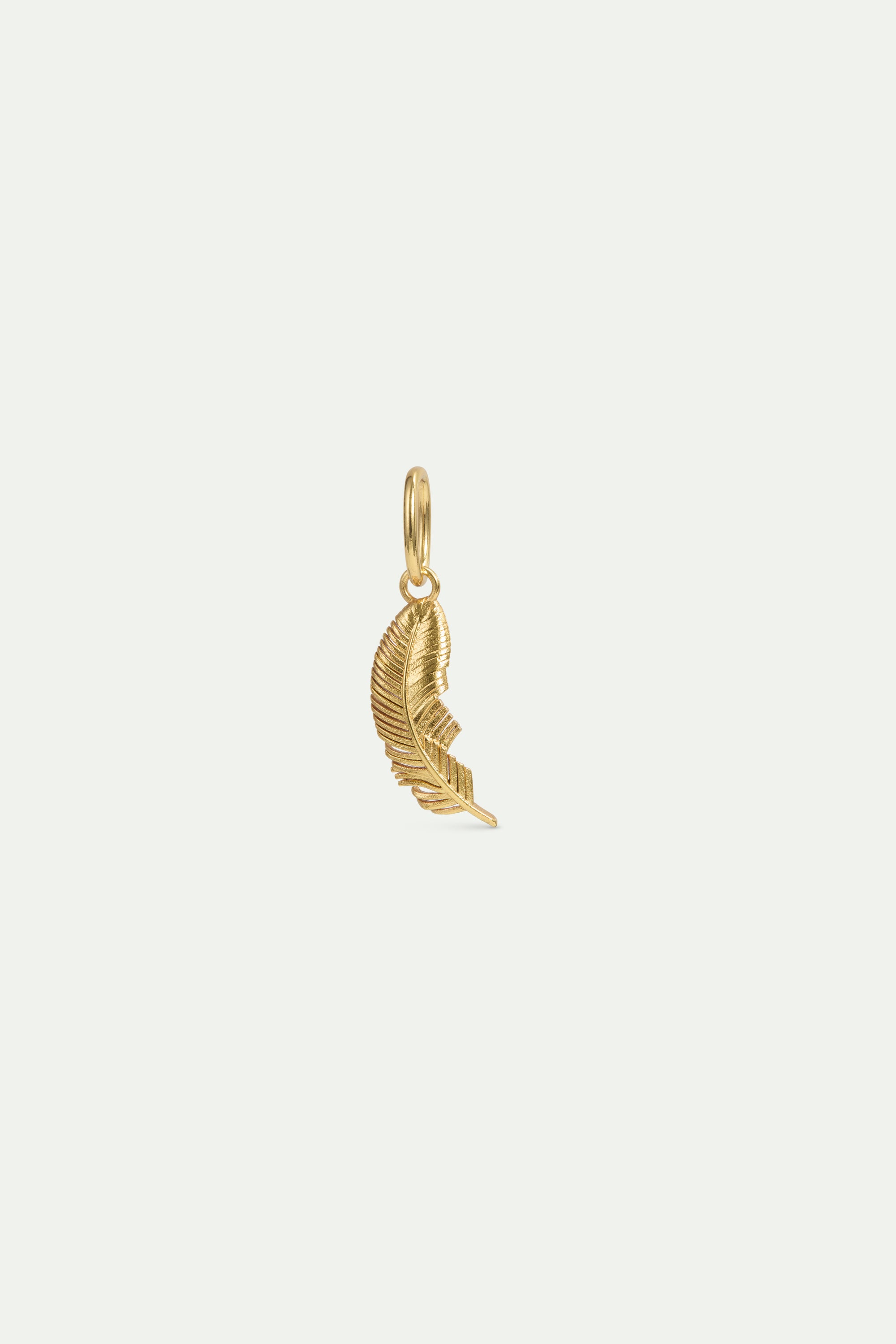 Pendentif Plume, Fantasme et Ingéniosité
