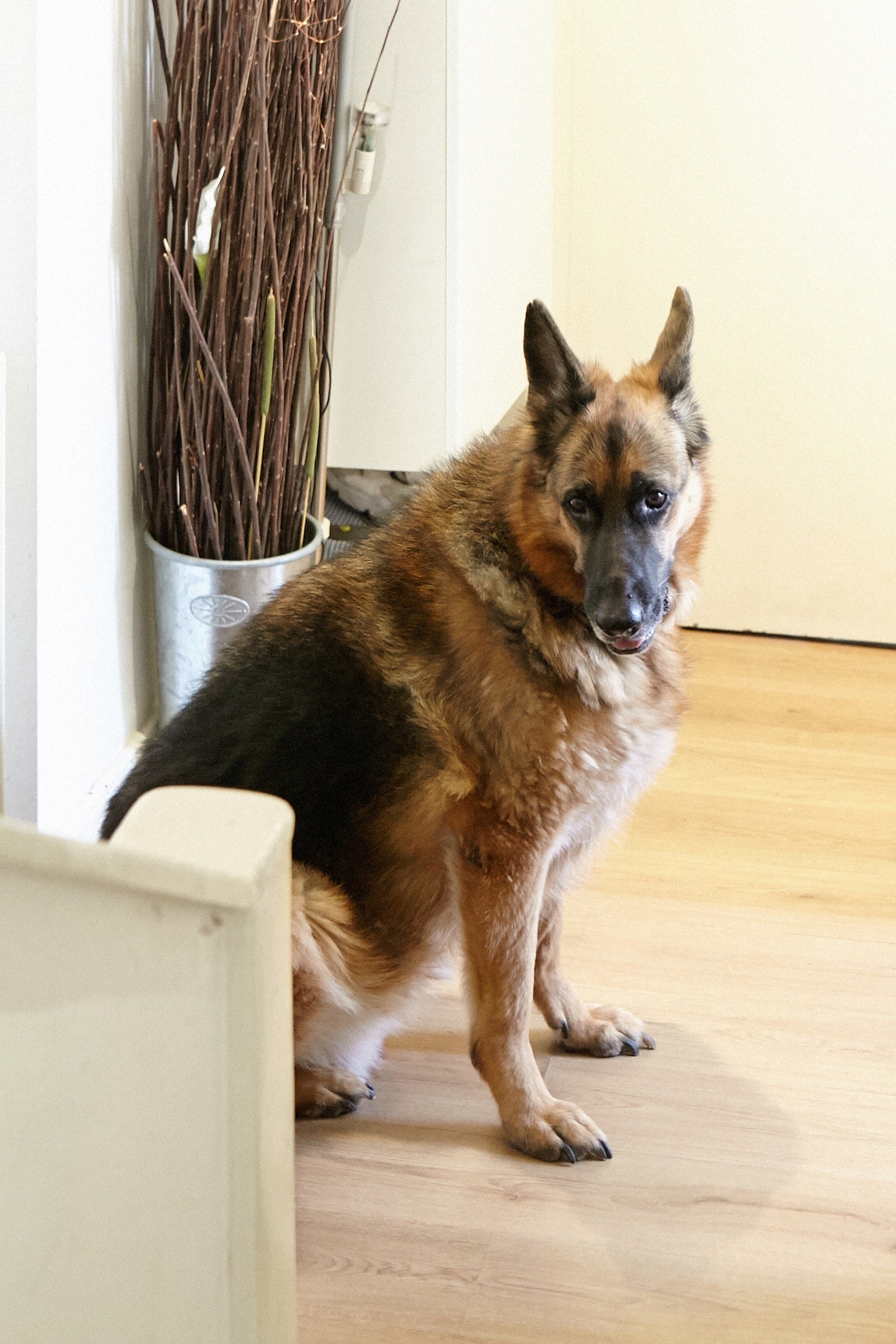 Portrait : Hamza et Cody