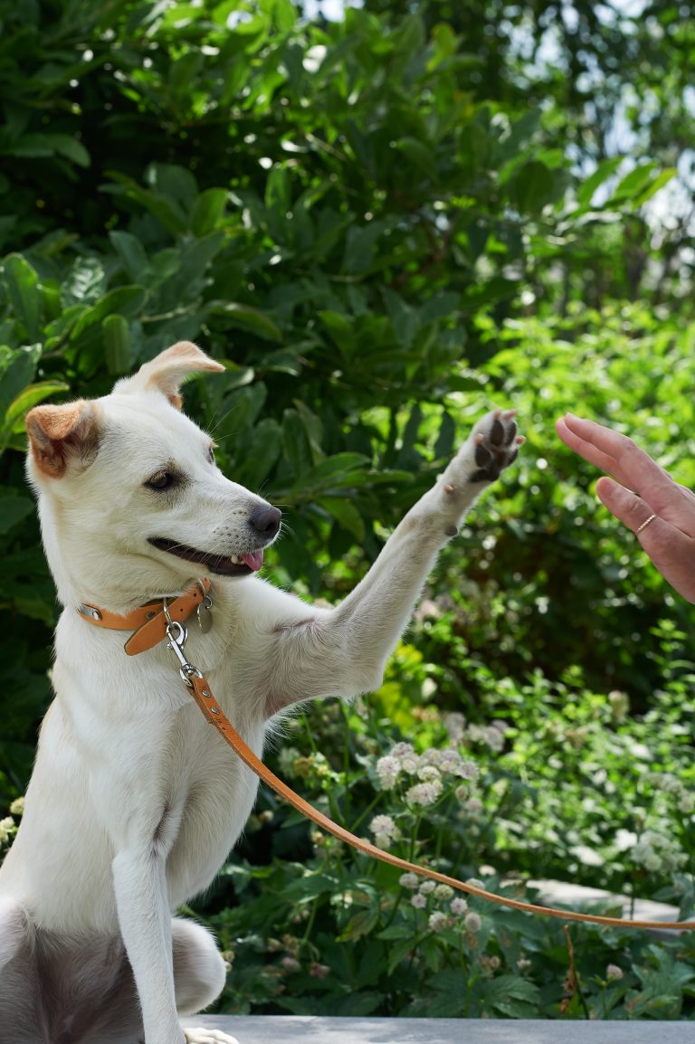 Portrait : Eujin et Dani