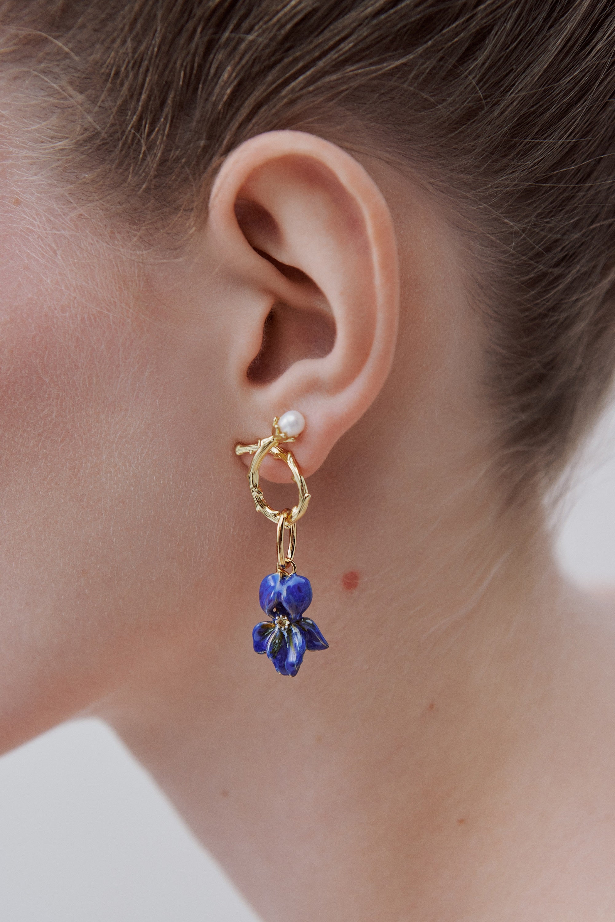 Pendentif Iris de Vincent, Magnêtisme et Érudition